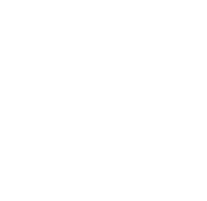 Custom Squad Vest icon