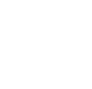 Custom Squad Helmets icon