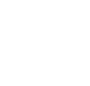 Relay Rides icon